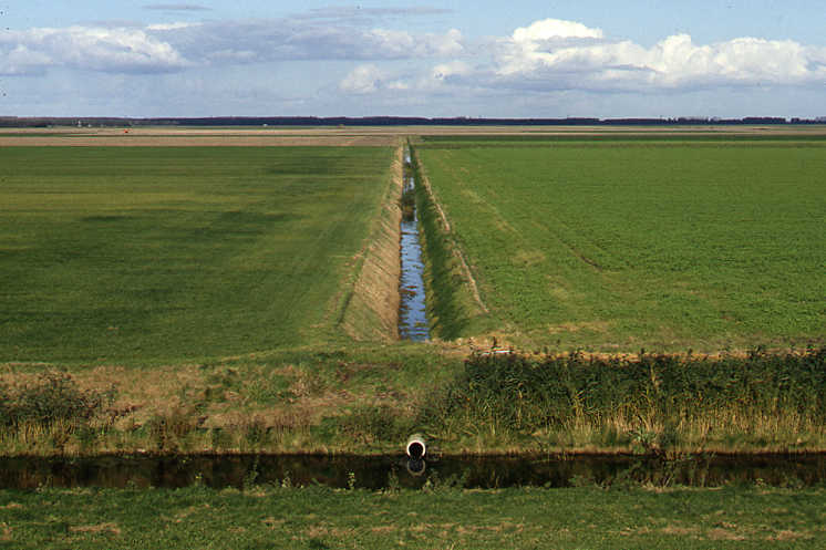 Landbouwgebied in polder Flevoland