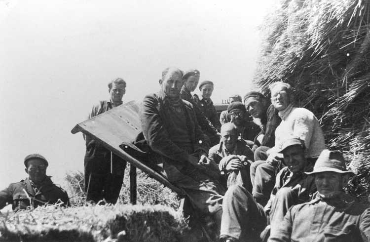 Een groep NSB'ers wordt ingezet bij het oogsten in de Noordoostpolder, 1946 (Fotocollectie Batavialand, R. Winter). 