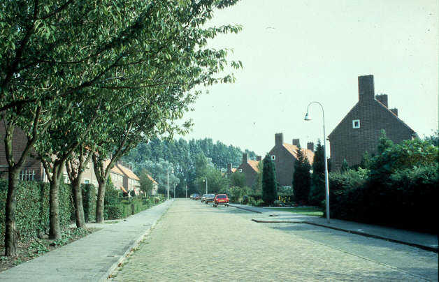 De Tuinstraat in Luttelgeest, 1985