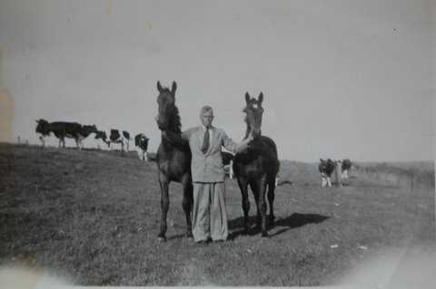 Paarden uit het land halen (Privécollectie mevrouw Colenbrander-Schieven). 