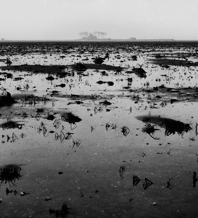 De drooggevallen Noordoostpolder. Op de achtergrond Schokland, 1941