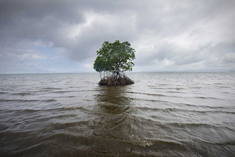 Climate change / sea-level rise in Fiji