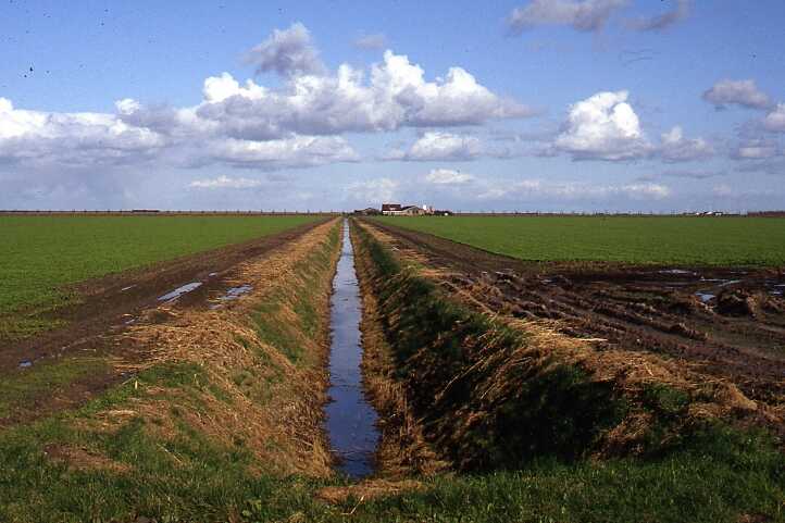 Collector drain in the agricultural area of Polder Flevoland 