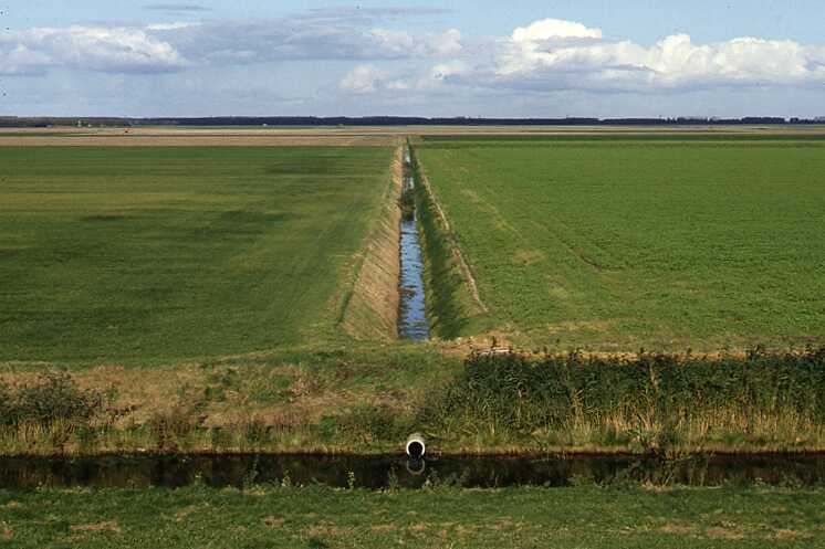 Agricultural area in Polder Flevoland