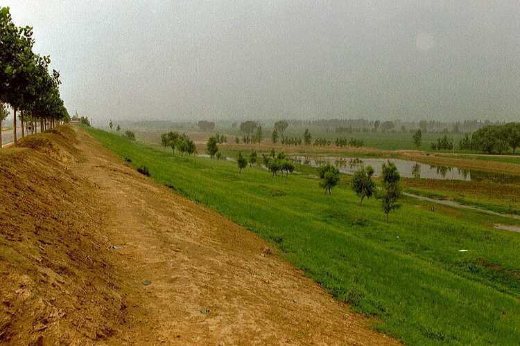 Polder landscape behind a dike along the Yellow River 