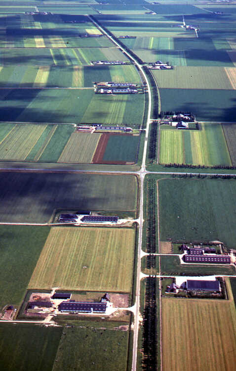 Agricultural area with newly built farms 