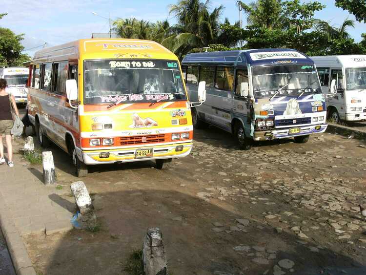 Buses_in_Paramaribo