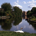 Stedelijk water in de woonwijk Huiswaard in Alkmaar