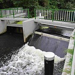  Afvoer van overtollig stedelijk water over de stuw bij de Buitenplaats in Lelystad 