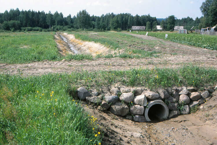 Cleaned up parcel ditch with a culvert.