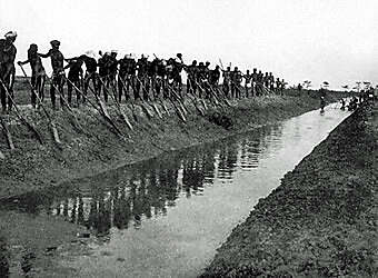 Traditional construction of a Bolanha dike and canal by Balantas.