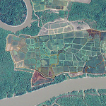 Irregular shapes of the Bolanha rice polders