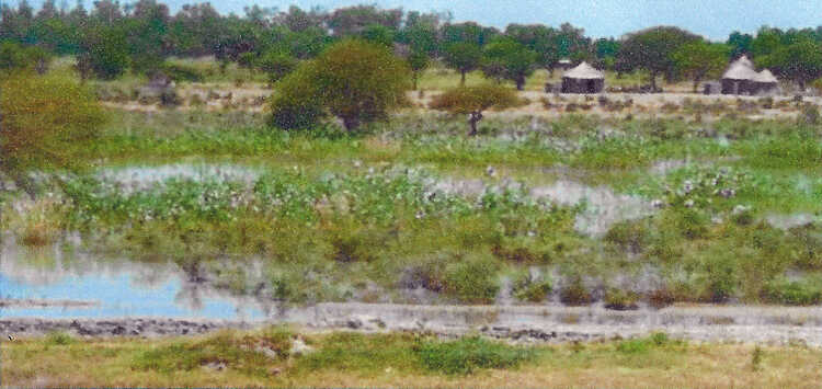 Landscape in one of the rice polders of SEMRY.