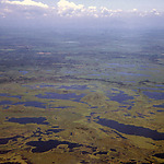 Natural area in La Mojana within the delta