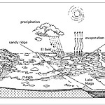 Schematic drawing of the Yaéré River Plain and related water fluxes 