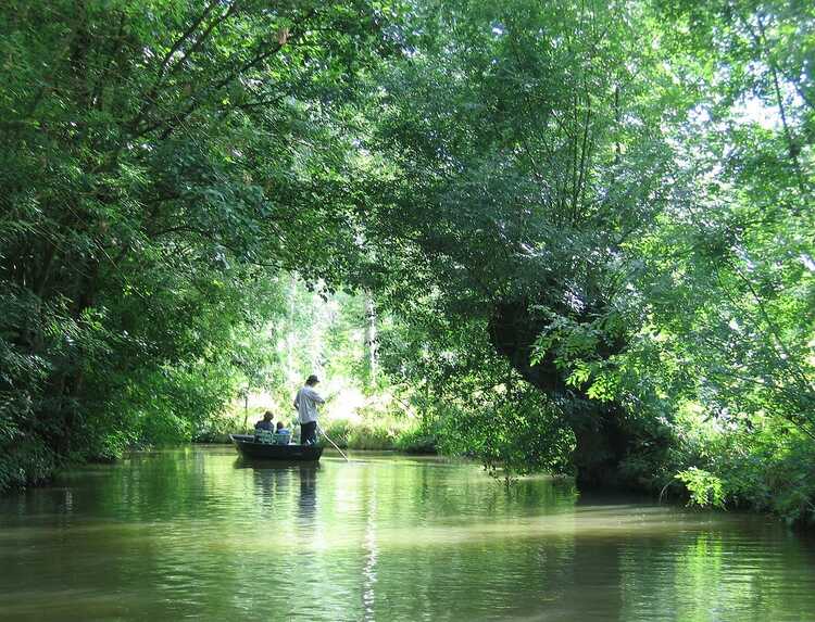 Boat on one of the watercourses in the Marais Poitevin