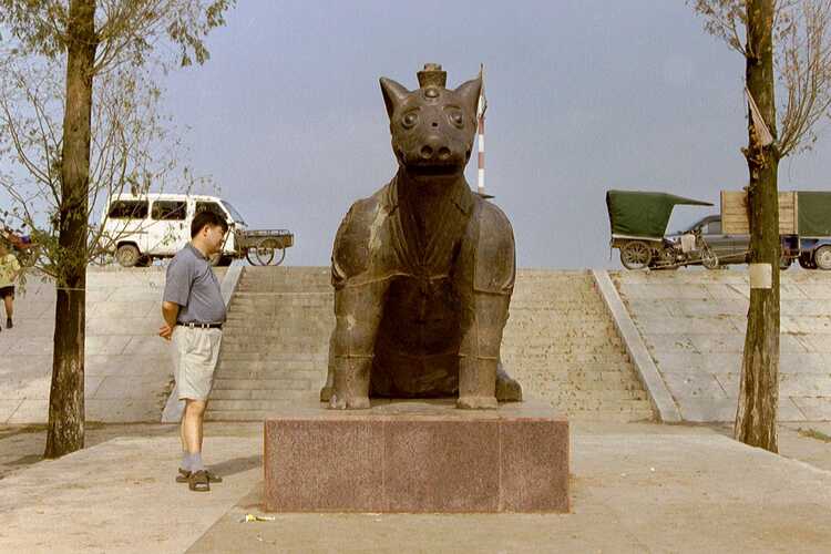 Statue of the wolf 