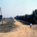 Dike along the Danube in Romania