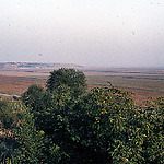 Polder along the Danube in Romania